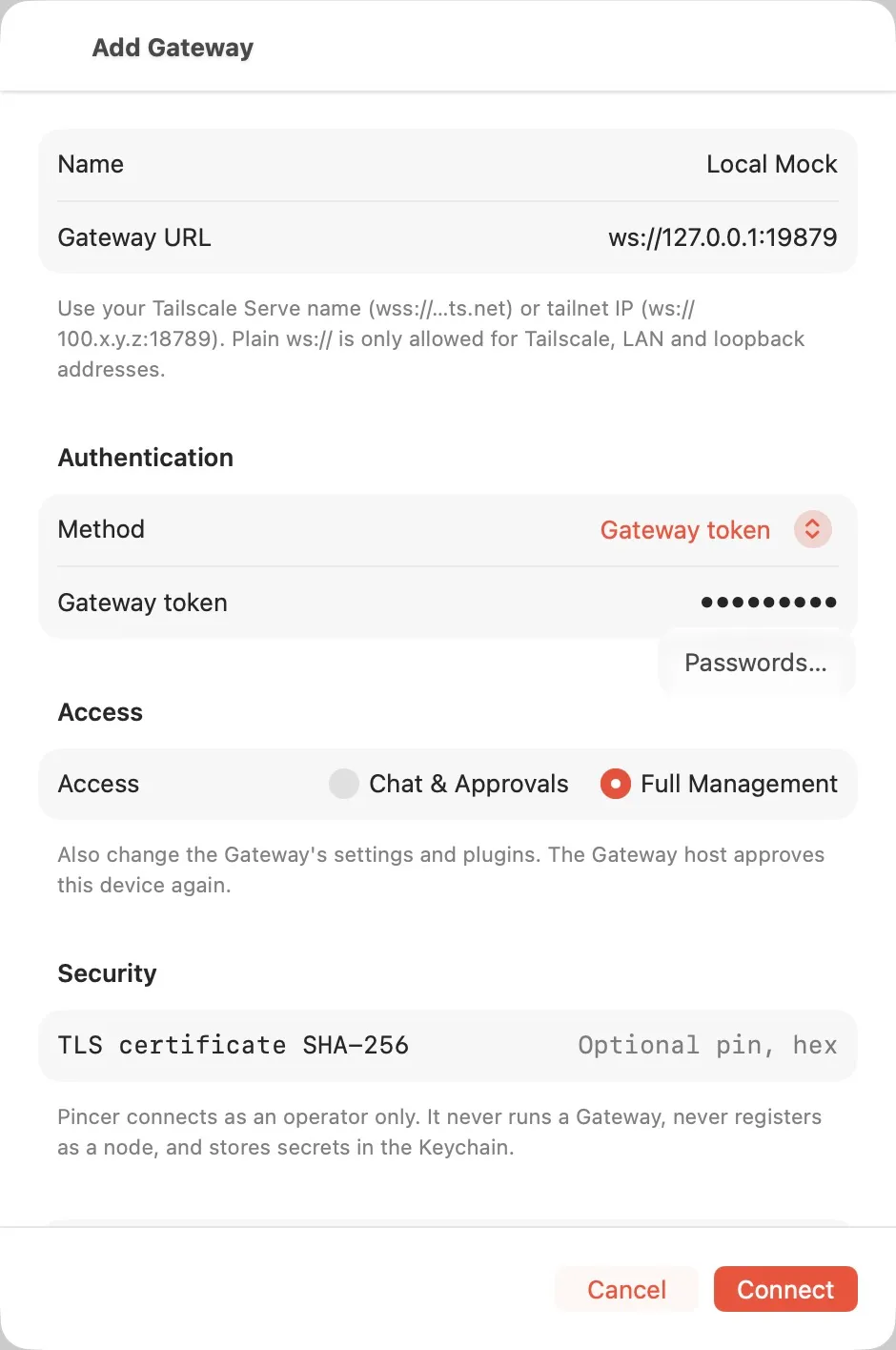 Connection form for Local Mock at ws://127.0.0.1:19879 with a masked token and Full Management selected.