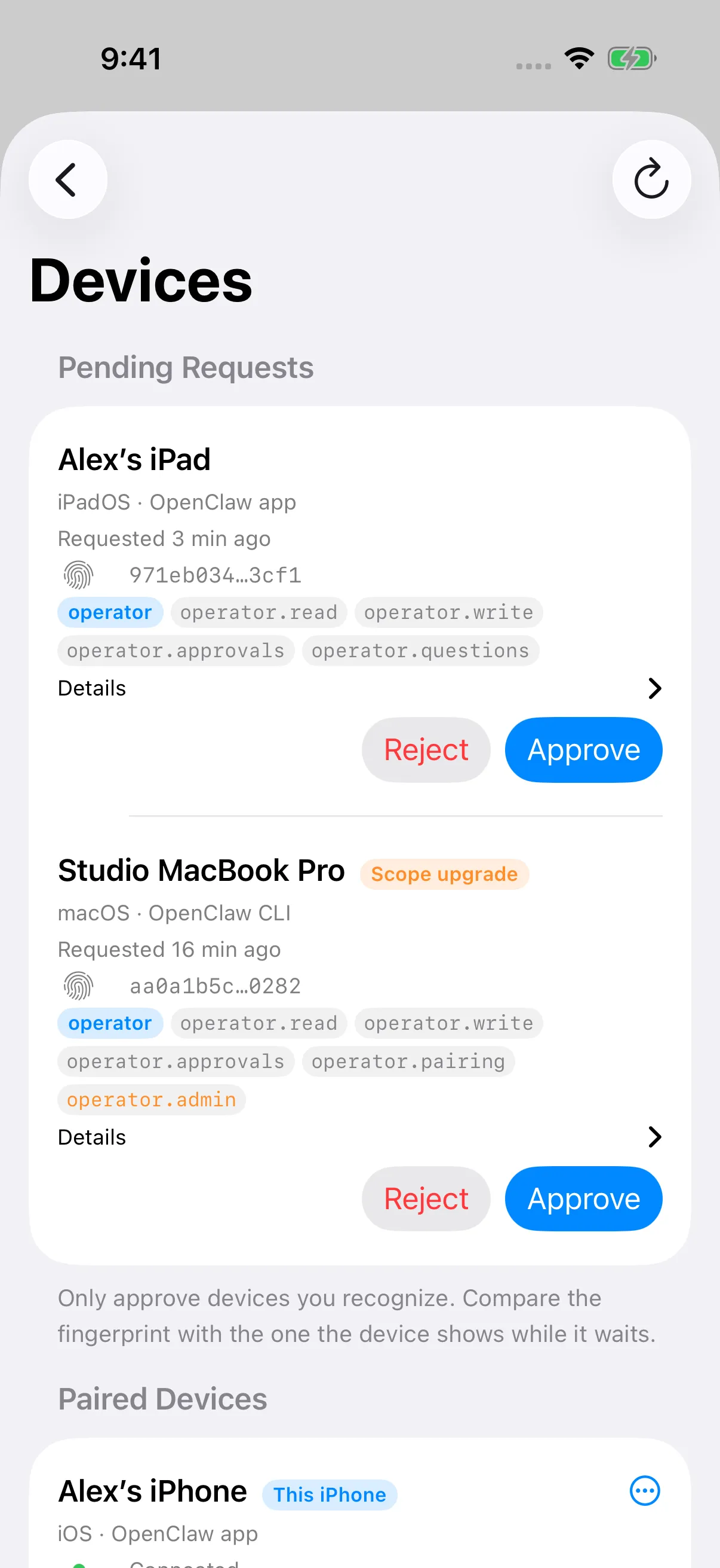 Devices page with a fictional iPad pairing request and a Mac scope upgrade. iPhone view.