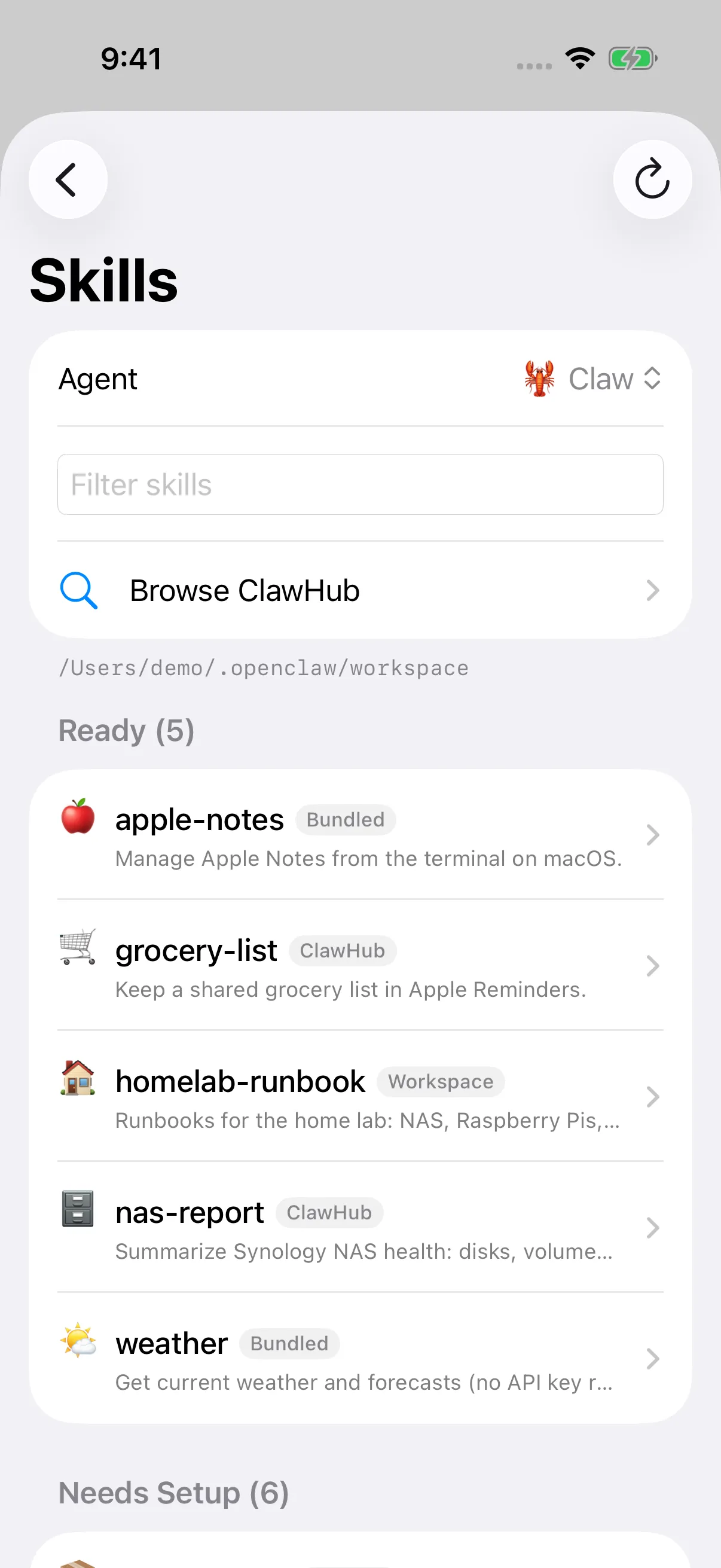 Skills page listing ready skills with source, requirements and enabled status. iPhone view.