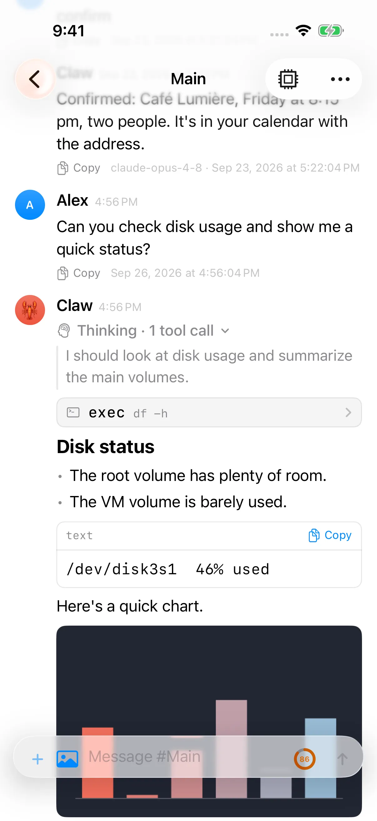 Pincer on iPhone, demo capture: the details of a tool call.