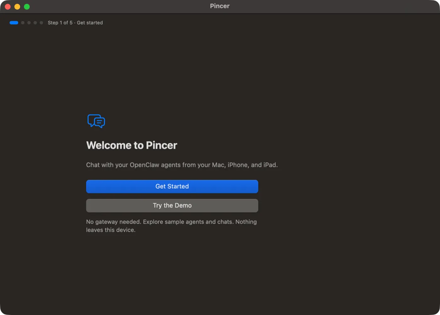 The Welcome to Pincer screen with a blue Get Started button and a Try the Demo button right under it.